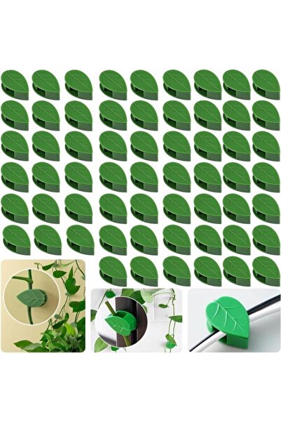 Morvena Picks Cleme pentru plante cataratoare - Cleme de fixare pe perete ver...