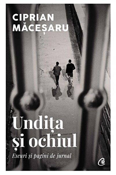 Curtea Veche Undita si ochiul - Ciprian Macesaru