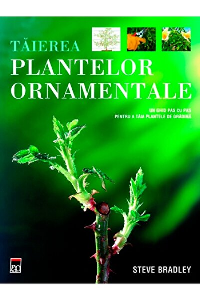 Rao Taierea plantelor ornamentale - Steve Bradley