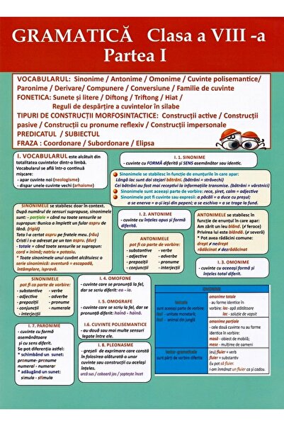 COLIBRI KIDS Plansa. Gramatica - Clasa 8 Partea 1