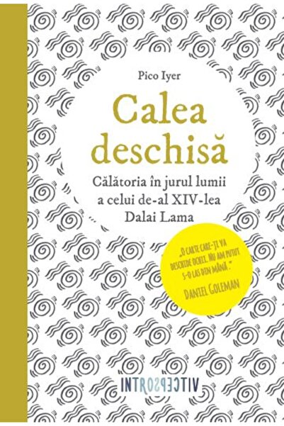Litera Calea deschisa - Pico Iyer