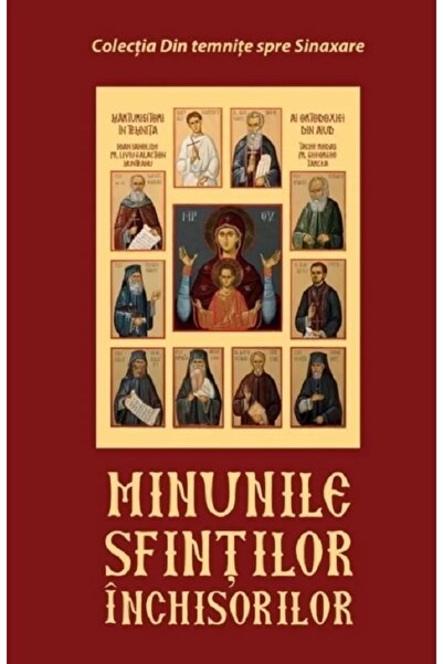 AREOPAG Minunile sfintilor inchisorilor - Vasile Danion