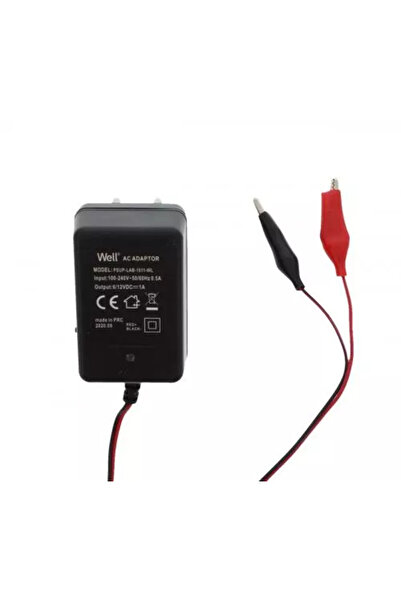 Well Φορτιστής μπαταρίας μολύβδου-οξέος 6V / 12V 1000mAh με αποσύνδεση
