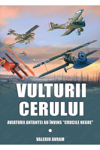 MIIDECARTI Vulturii cerului - Valeriu Avram