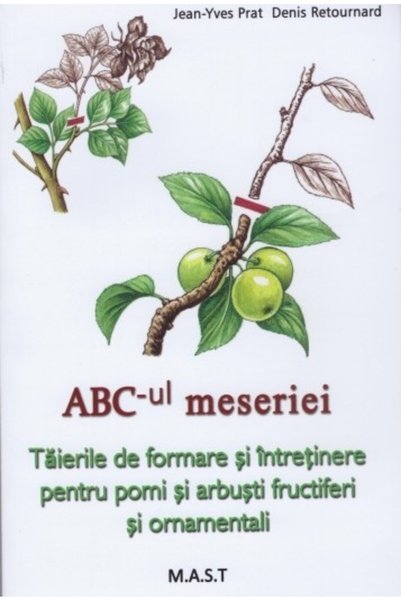 MAST Abc-ul meseriei - Jean-Yves Prat