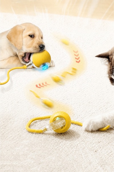 i-pets ŞARJLI KEDİ TOPU IŞIKLI HAREKETLİ 3 MODLU KEDİ OYUNCAĞI C02
