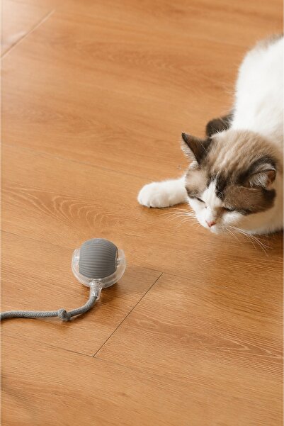 i-pets ŞARJLI KEDİ TOPU IŞIKLI HAREKETLİ 3 MODLU KEDİ OYUNCAĞI C02