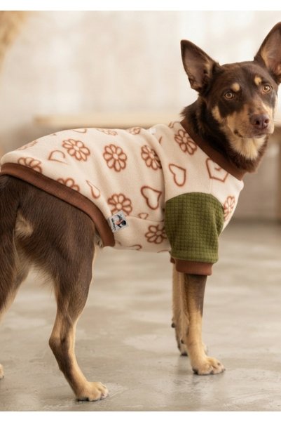 Aboutpet Autumn kedi köpek pet kıyafet