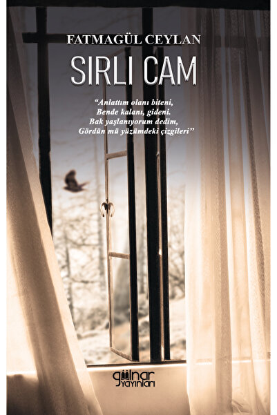 Sırlı Cam / Fatmagül Ceylan / 9786258649871