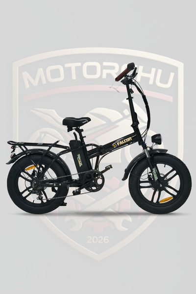 Falcon Ricco E-Bike
