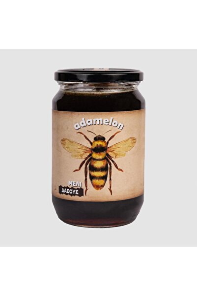 Honey Δάσος 920γρ.