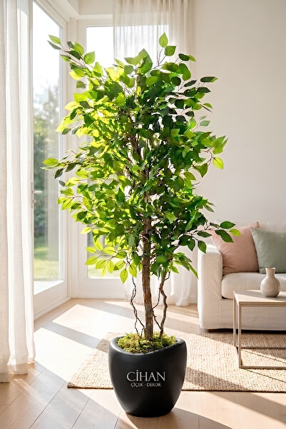 Genel Markalar Premium Yapay Yeşil Benjamin Ağacı 150 cm - 32*28.5 Plastik La...