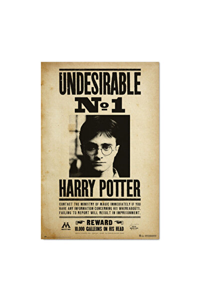 Erik Poster Harry Potter Numărul 1 Nedorit