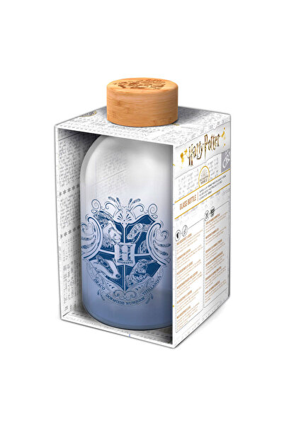 Stor Harry Potter glass bottle 620ml