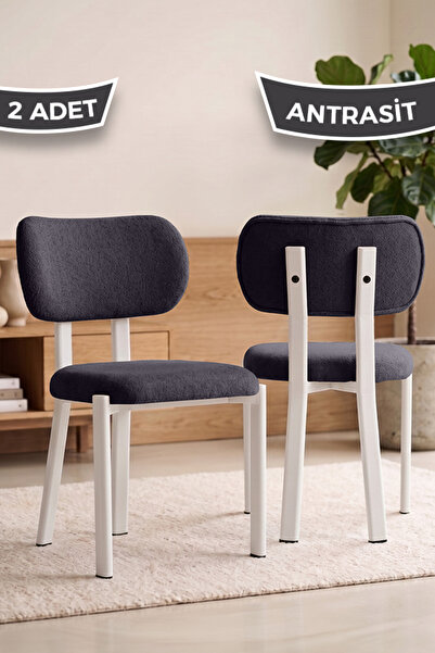 Canisa Arlesa Serisi 2 Adet Antrasit Bukle Kumaş Beyaz Metal İskeletli Mutfak...
