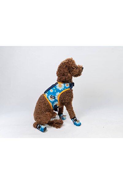 Buddy Store Daisy Blue Göğüs Tasması Mavi