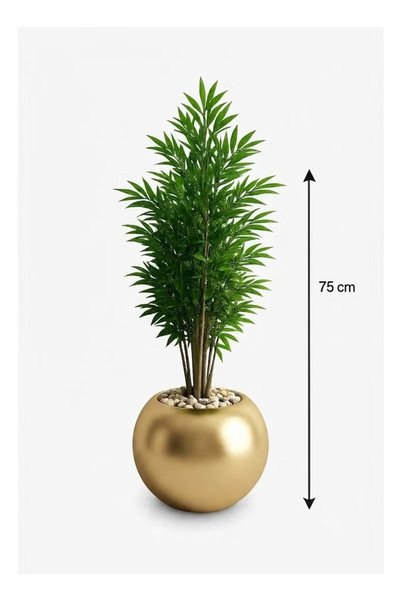 Generic Brand نبات النخيل الأنيق (Chamaedorea seifrizii) للديكور الداخلي في وعاء ذهبي فاخر دائري الشكل