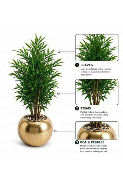 Generic Brand نبات النخيل الأنيق (Chamaedorea seifrizii) للديكور الداخلي في وعاء ذهبي فاخر دائري الشكل