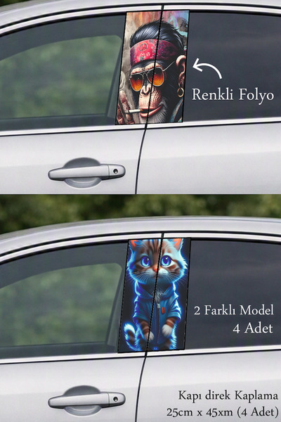 Automod Auto Door Trim Cover That Gives Your Vehicle a Different Identity