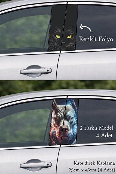 Automod Post-Coating Foil Printing That Enhances Vehicle Style