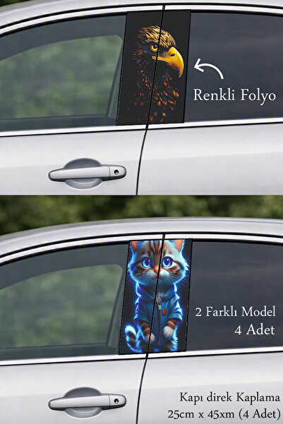 Automod Direct Coating Foil Printing That Adds an Original Design to Your Veh...