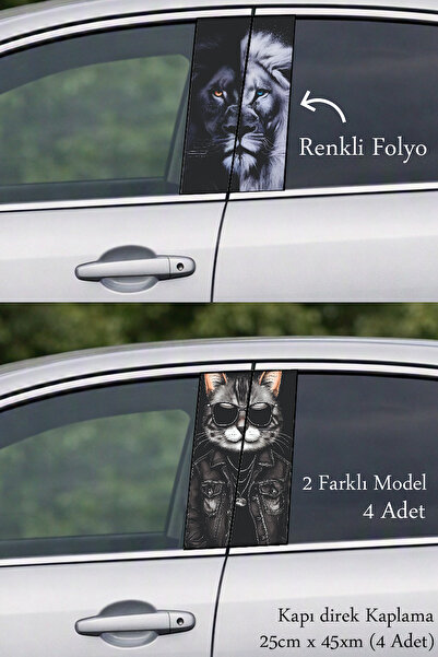 Automod New Style Car Body Coating Foil Printing