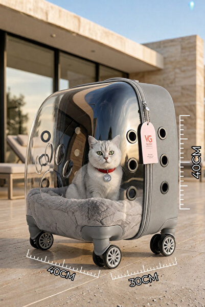 VİGİ STORE VG Premium Ekstra Geniş XL+ Şeffaf Kedi ve Köpek Taşıma Valizi Gri