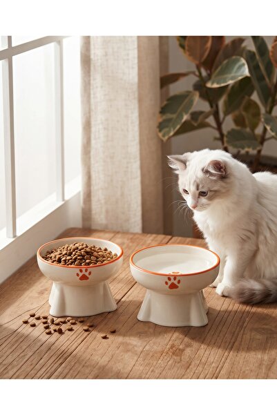 ARKHERA 2'Li Eğimli Yükseltilmiş Omurga Dostu Seramik Kedi Köpek Mama ve Su Kabı