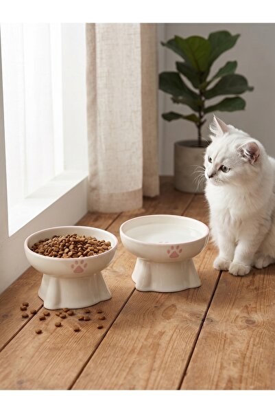 ARKHERA 2'Li Eğimli Yükseltilmiş Omurga Dostu Seramik Kedi Köpek Mama ve Su Kabı