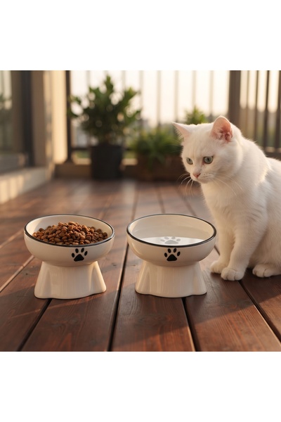 ARKHERA 2'Li Eğimli Yükseltilmiş Omurga Dostu Seramik Kedi Köpek Mama ve Su Kabı