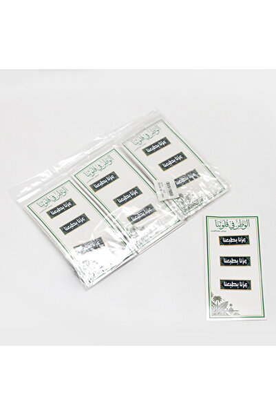 Generic Brand طقم بروشات مغناطيس لليوم الوطني السعودي 3 قطع (مجموعة 36 حبة)
