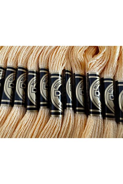 Dmc Ata pentru brodat Mouline Special DMC, jurubita 8m, 3855