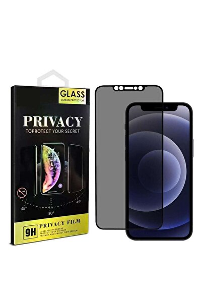 THELEPHONE ANTİSTATİK HAYALET EKRAN KORUYUCU IPHONE 17 PRO MAX
