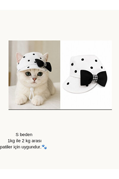 Generic Brand Cat & Dog Hat for the Sake of Polka Dots 🐾   Hello Size S