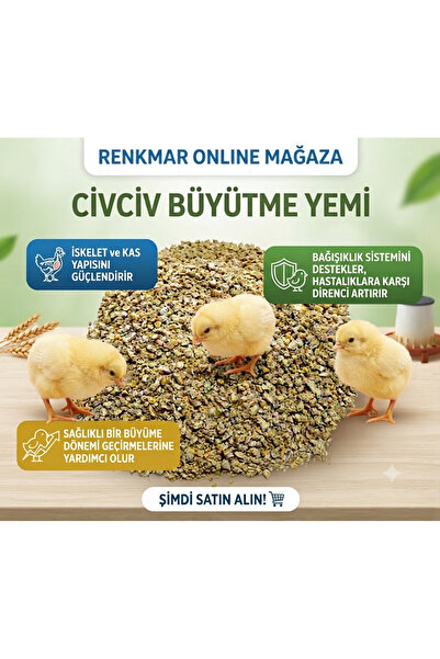 renkmar 1 Kg Civciv Büyütme Yemi - Sağlıklı Gelişim, İskelet ve Kas Güçlendir...