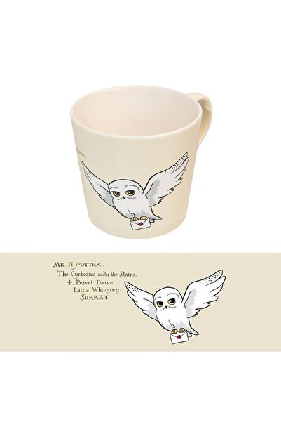 Erik Harry Potter Hedwig premium mug