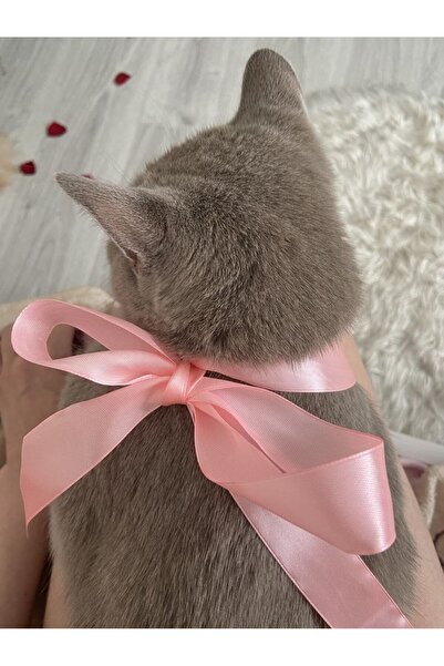 NOOR LILY Şık fiyonklu ve zarif kurdele detaylı kedi tasması