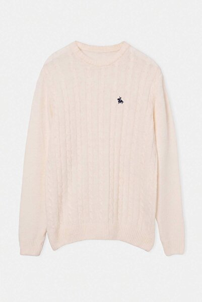 Trendyol Collection Ecru Regular Crew Neck Animal Embroidery Sweater Tmnaw26K...