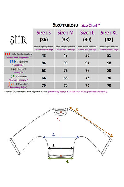 Şiir ASNOW Slim Fit Bele Oturan Geniş Uzun Kollu Doğal Viskon Karışımlı Dokulu Jakar Y2K Top & Kadın Bluz - Ekru