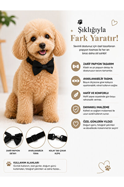 Patişon Siyah Kedi-Köpek Papyonu