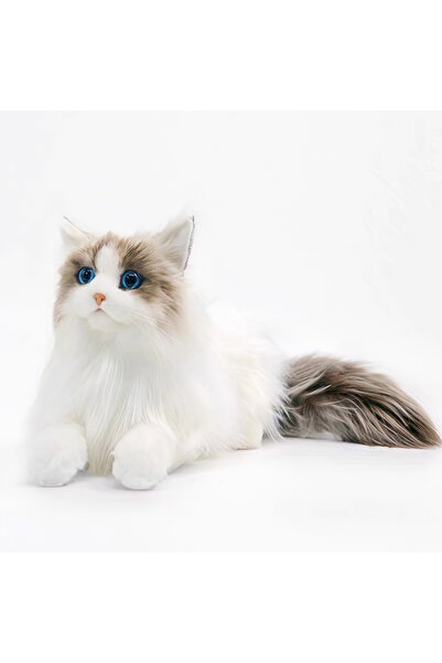 Choice Ragdoll Cat Lifelike Plush Toy Cat Soft Simulation Cat Doll Children'S...