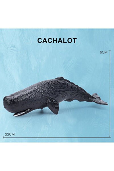 Choice8 Cachalot Simulation Marine Sea Life Whale Figurines Shark Cachalot Ac...