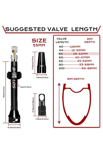 BUCKLOS BLACK-55MM Bike Tubeless Valve 40/44/55/60/65/80/100mm Bicycle Presta...