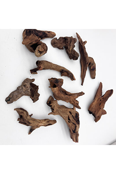 choice2 9PCS 5-10CM 3/6/9PCS Micro Landscape Decoration 5-10CM Wood Branches,...