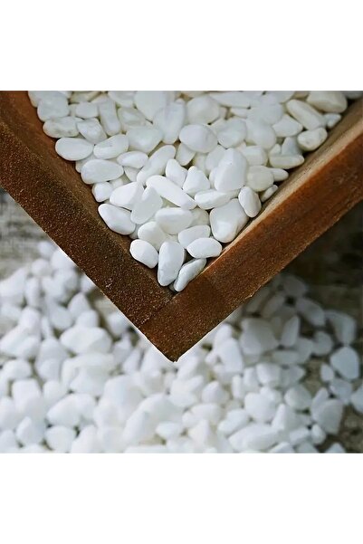 Choice 100G White Stone with Soul, Suitable for Fish Tank decoration, flower ...