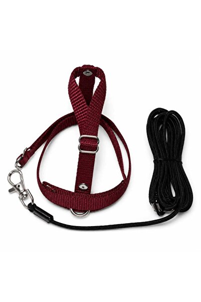 Petcalvit Jako Papağan Tasması – Bordo Uçuş ve Gezdirme Takımı