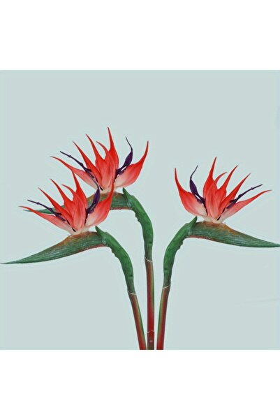 Choice 3pcs-Red 3pcs Artificial Bird Of Paradise Flowers Strelitzia 24.5'' Lo...
