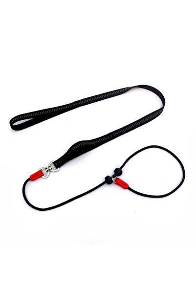 Choice Black Training Dog Choking Rope Leash 2 in 1 Lead Collar 150cm P-Shape...