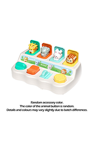Choice hide-and-seek Montessori Pop up Animal Toys and Learning Boxes - Enhan...
