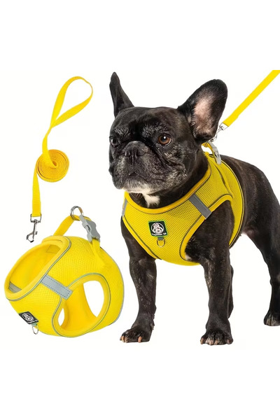 Choice XS（old） YELLOW [Dog Walking Harness] 601 Small And Medium Dog Walking ...